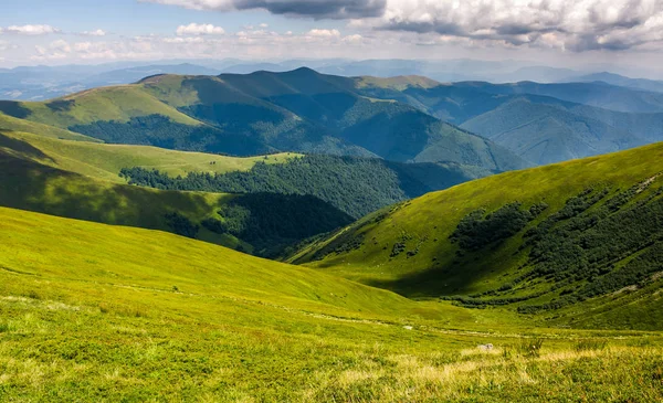 çimenli tepe yaz aylarında dağ üzerinde