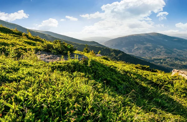 Svahu s balvany v Karpatských horách v létě — Stock fotografie