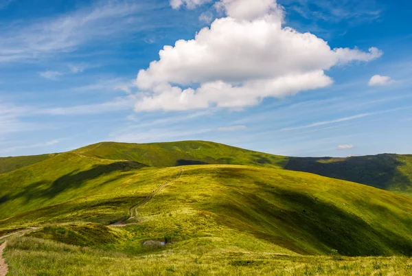 Dağlardaki güzel yaz manzarası