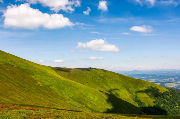 Dağlardaki güzel yaz manzarası