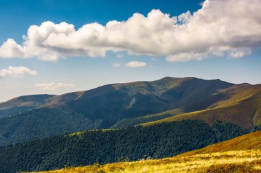 Karpat dağ silsilesi içinde yaz