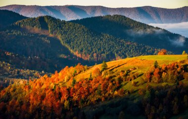 sisli sonbahar sabahı dağ kırsal alanda