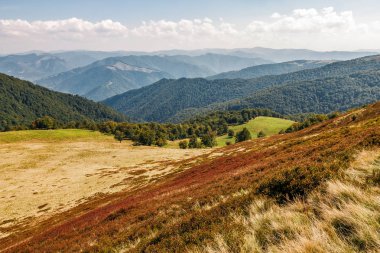 kırmızımsı Hillside çimenli halı yıpranmış