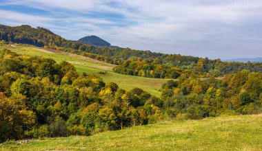 Forest Hills dağlık kırsal Vadisi