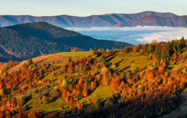 sonbahar gündoğumu Hill'deki arkasında sisli Vadisi