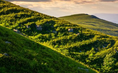 dağ yamacındaki çimenli çayır