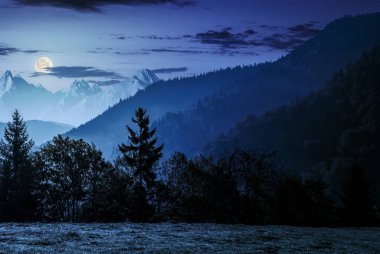 Geceleri yüksek Tatras, yamaca orman