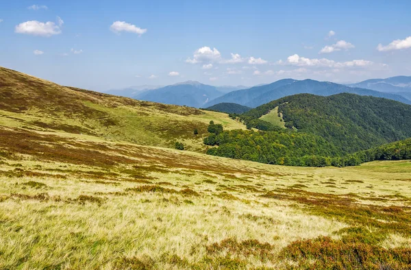 Laderas cubiertas de hierba en la cresta de la montaña — Foto de Stock