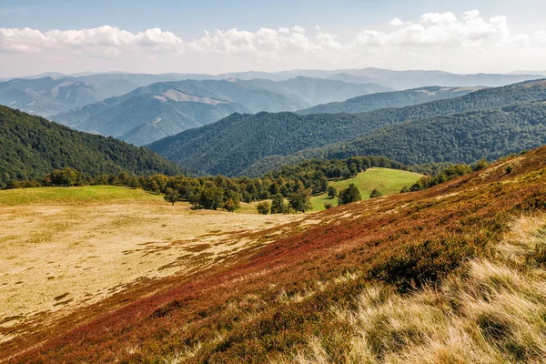 kırmızımsı Hillside çimenli halı yıpranmış