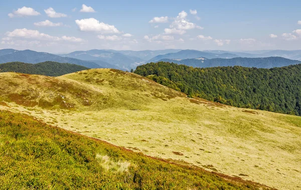 Colinas cubiertas de hierba de cresta de montaña — Foto de Stock