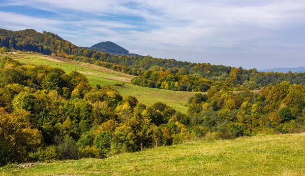 Bos op heuvels in bergachtige platteland vallei — Stockfoto