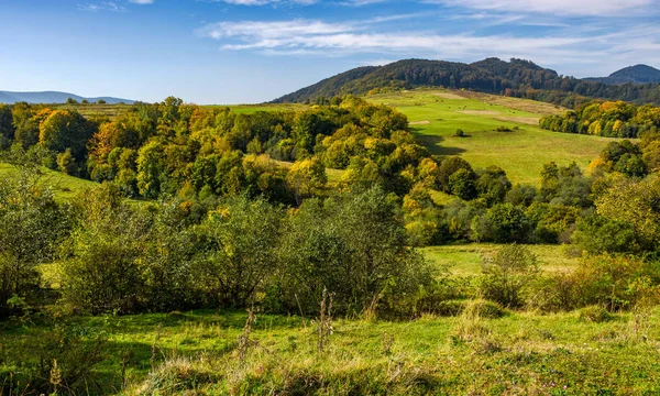 Bosque y prado en colinas en el campo montañoso —  Fotos de Stock