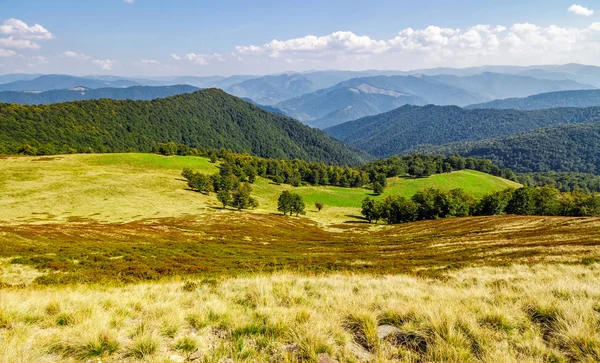 güzel dağ sırtı sonbaharda tepelerinin üzerinde orman