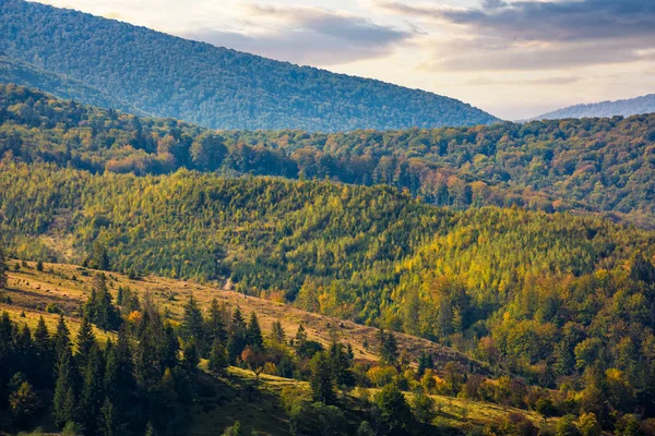 Heuvels van bergketen met bos in de herfst — Stockfoto