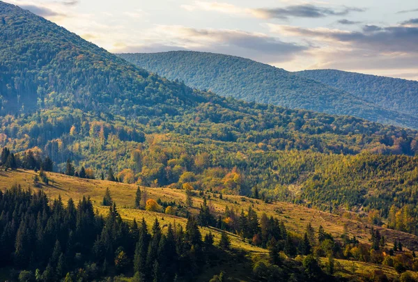 çayır sonbahar sabahı, yamaca orman arasında