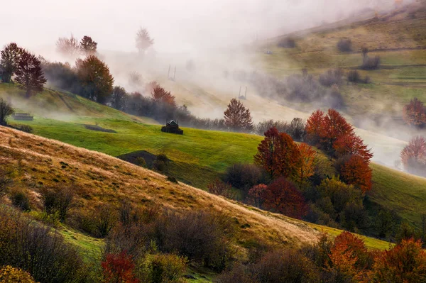 Thick fog on hilly rural fields in autumn — Stock Photo, Image