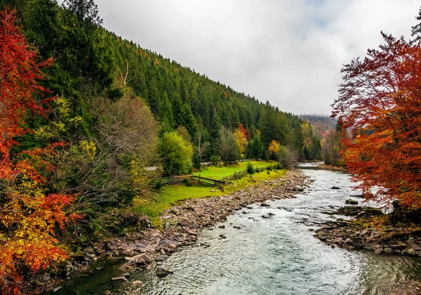 Schilderachtige herfst landschap met bos rivier in Bergen — Stockfoto