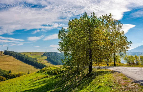 Serpentine via platteland heuvels met bomen — Stockfoto