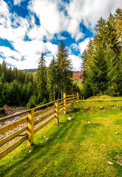 Wooden fence in forest camping place — Stock Photo, Image