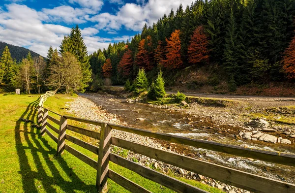 Forest river in de buurt van de weg en camping plaats — Stockfoto