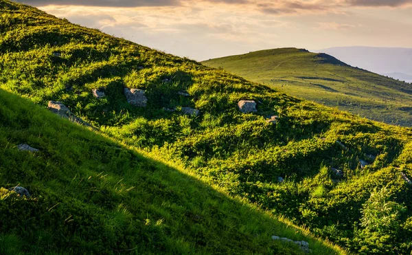 dağ yamacındaki çimenli çayır