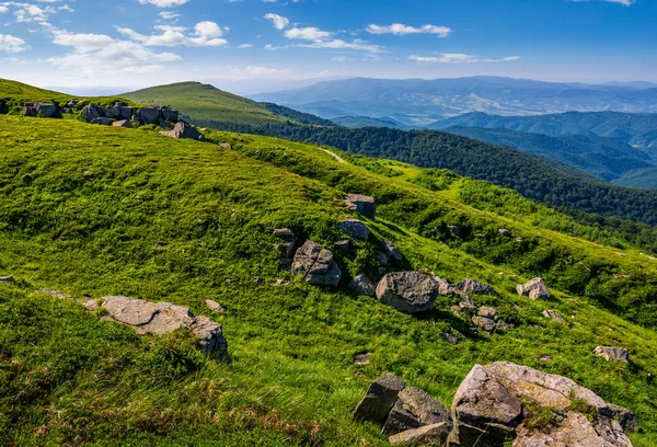 Strmé travnaté louce na svahu v horách — Stock fotografie