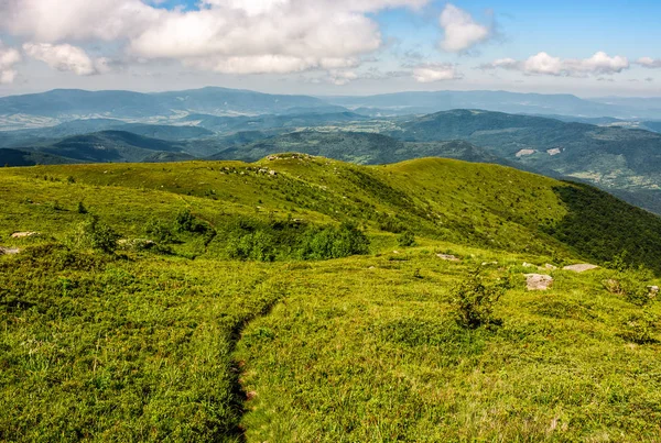 Patika üzerinden çimenli dağ çayır — Stok fotoğraf