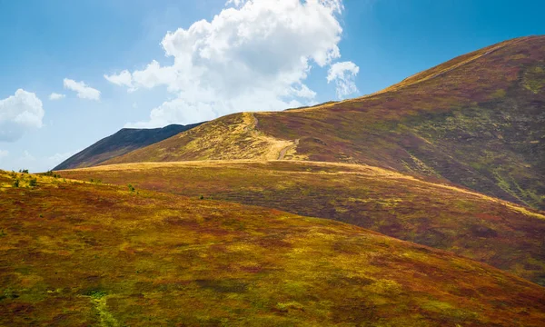 Hillside yıpranmış çimenli eğim ile