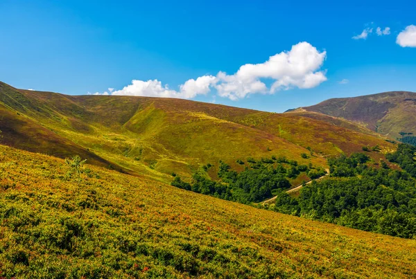 dağ yamaca orman yolundan