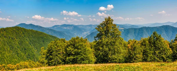 Vackra bergiga panorama med skog — Stockfoto