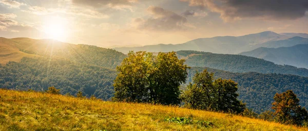 Karpatlar batımında güzellikler