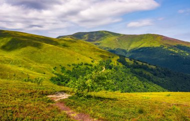 yol kenarına tepe dağ sırtı üzerinde