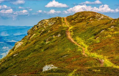 turistler patika tepenin üst üzerinde