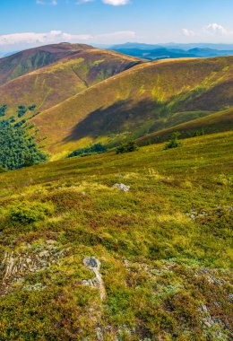 kayaların arasında çim dağ yamacında