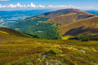 kayaların arasında çim dağ yamacında