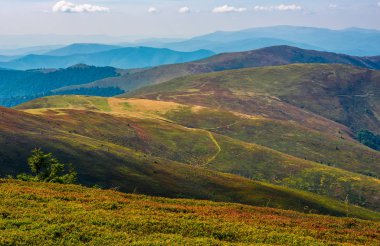 düz dağ sırtı üzerinde alpin çayırlar