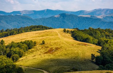 erken sonbahar çimenli Alpin çayır