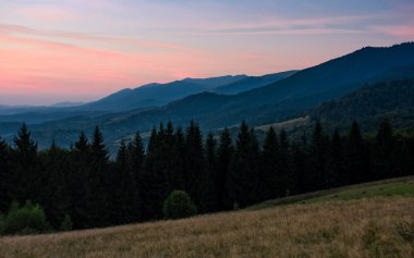 Şafakta dağda Ladin ormanı