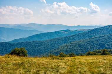 çimenli tepe üzerinde yüksek irtifa ridge Güz