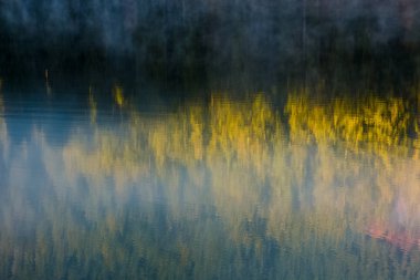 Ladin ormanı yansıtan göl yüzeyi