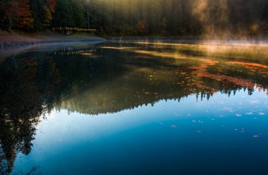 Rıhtımın Orman Gölü sis yükselişi