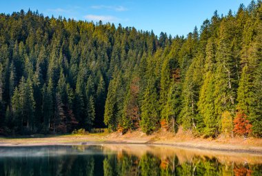 puslu dağlar gölde ile iğne yapraklı orman