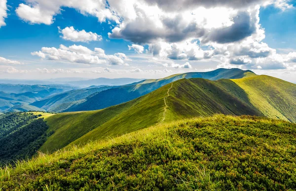 Encantador verde colinas gramadas de cume de montanha — Fotografia de Stock