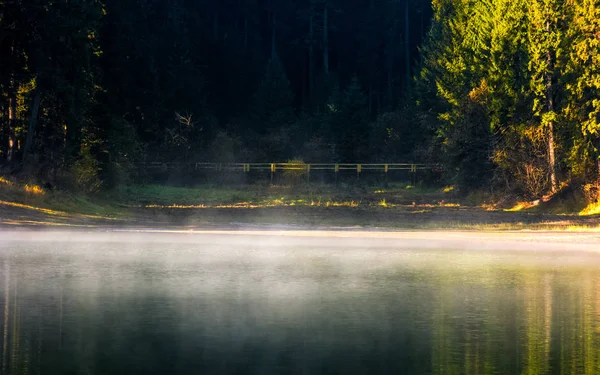 Surface brumeuse du lac forestier au lever du soleil — Photo