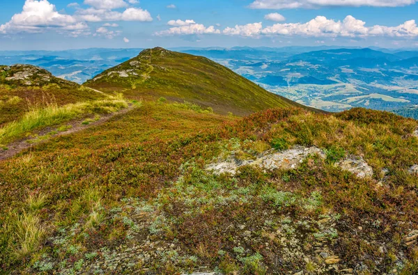kayalar ve patika üzerinde yüksek dağ çayır