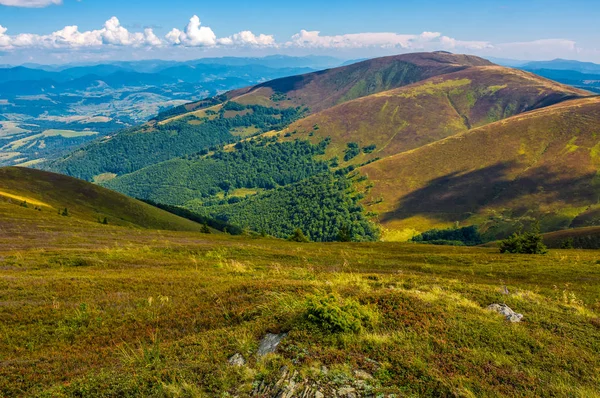 kayaların arasında çim dağ yamacında