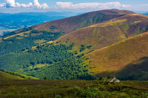 Borzhava Ridge'de Karpat Dağları'nda Ağustos