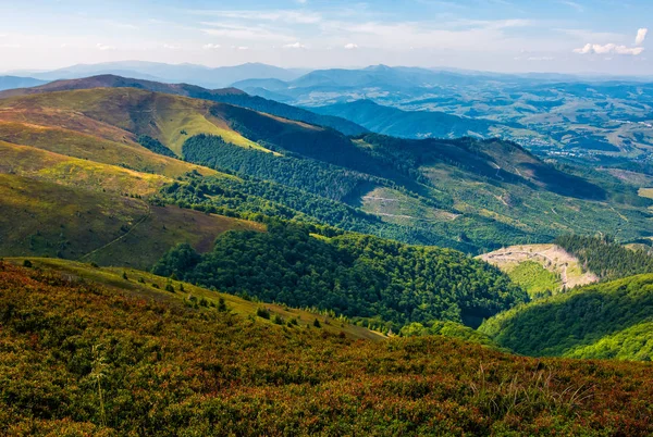 çimenli dağ başında yamaçlarda ormanlar ile