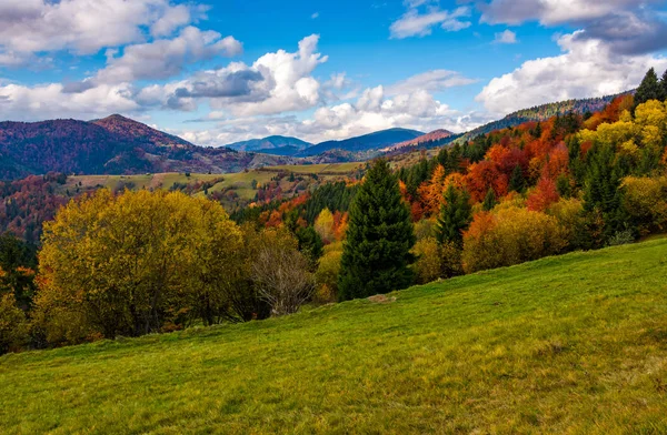 Montagnes avec forêt feuillue colorée — Photo
