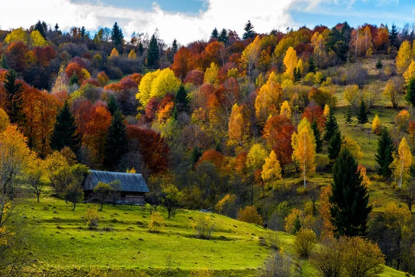 Opuszczony dom w lesie jesienią, na zboczu wzgórza — Zdjęcie stockowe